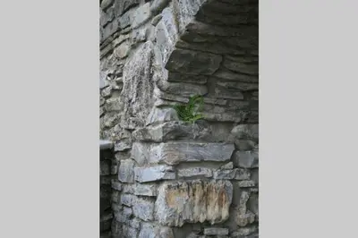 Planimetria di Casale delle farfalle