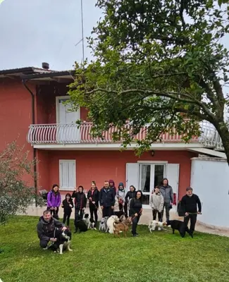 Ospiti di Pace, Luminosità e Comodità a due passi dal Garda con animali domestici