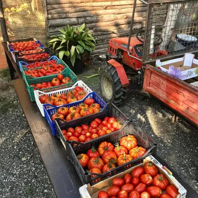 Cibo presso l'appartamento o nelle vicinanze