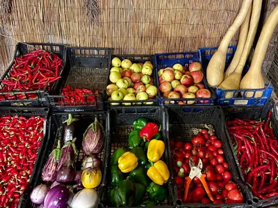 Cibo presso l'appartamento o nelle vicinanze