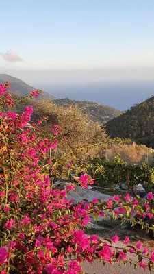 Paesaggio naturale nelle vicinanze dell'affittacamere