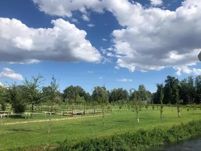 Paesaggio naturale nelle vicinanze dell'ostello