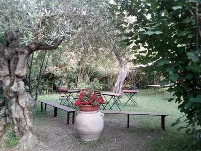 Planimetria di Gli Ulivi Bed & breakfast