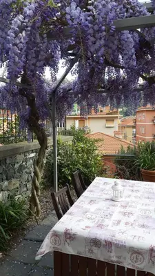 Giardino di I LIMONI già Torretta