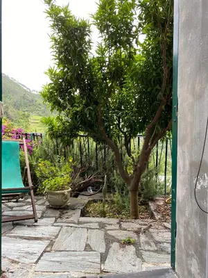 Giardino di Cottage La Terrazza