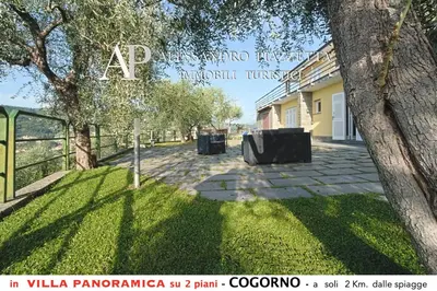 Il quartiere o una zona nella vicinanze dell'appartamento