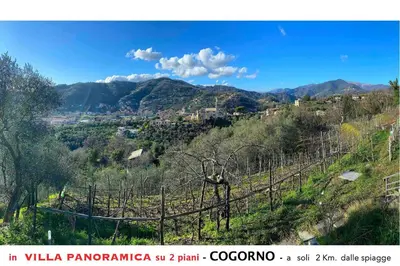Paesaggio naturale nelle vicinanze dell'appartamento