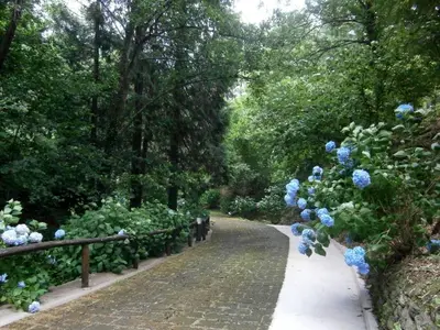 Giardino di Il Bosco di Campo Marzano Garden Apartments