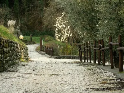 Paesaggio naturale nelle vicinanze della villa