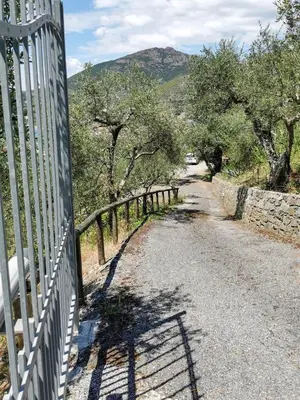 Paesaggio naturale nelle vicinanze dell'appartamento
