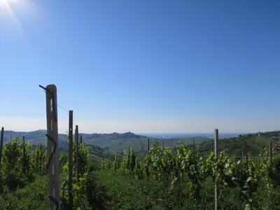 Paesaggio naturale nelle vicinanze dell'appartamento