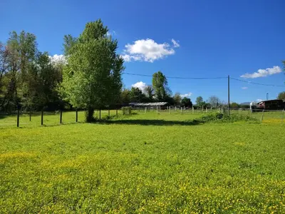 Giardino di La baia dei lupi