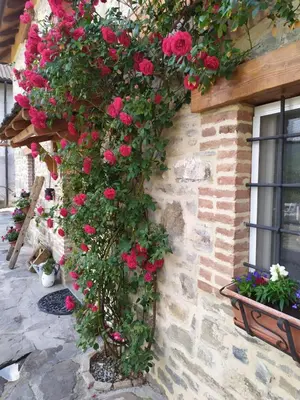 Giardino di la corte dei cerri