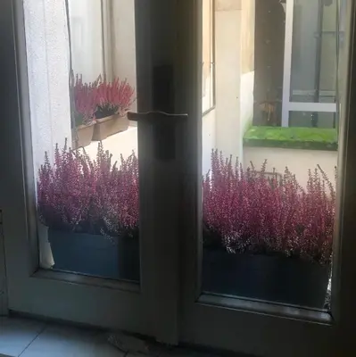 Giardino di Bixio 81