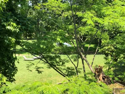 Giardino di Villa Dom