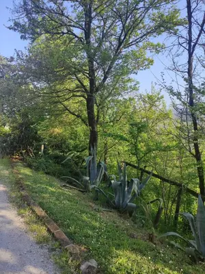Giardino di La Pergola