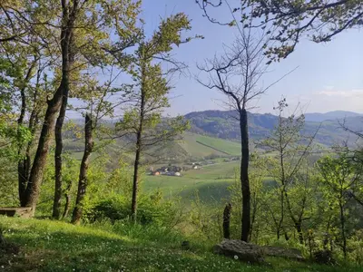 Paesaggio naturale nelle vicinanze del bed & breakfast