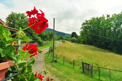 Paesaggio naturale nelle vicinanze della casa vacanze