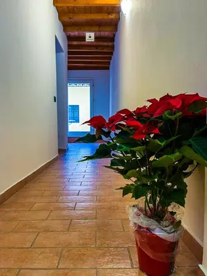 Planimetria di House Brennero 29