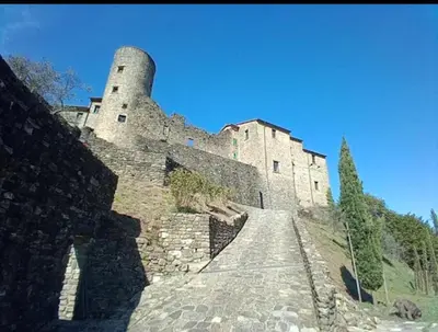 Planimetria di la casa nel bosco
