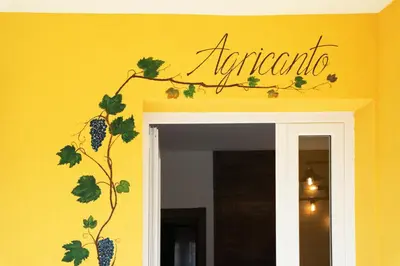 Certificato, attestato, insegna o altro documento esposto da Agricanto