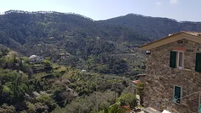 Paesaggio naturale nelle vicinanze dell'appartamento