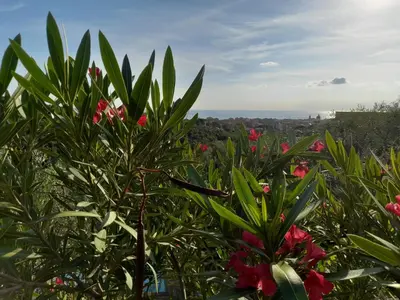 Paesaggio naturale nelle vicinanze della casa vacanze