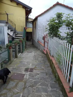 Ospiti di Azienda agrituristica Campo Luente con animali domestici