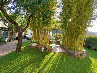 Giardino di AGRITURISMO CASA OLIVIERI