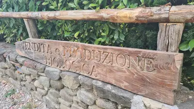 Planimetria di Agriturismo Podere Borgo Malnido
