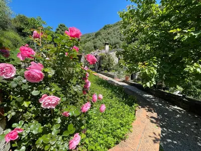 Giardino di Il frantoio di Luna - Levanto, 5 Terre