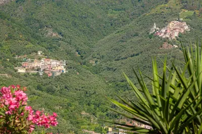 Paesaggio naturale nelle vicinanze dell'appartamento