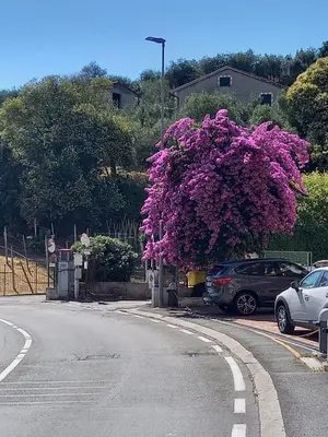 Paesaggio naturale nelle vicinanze dell'appartamento