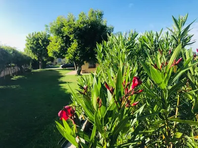 Giardino di La casa nei campi