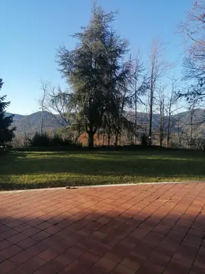 Vista generica sulle montagne o vista sulle montagne dall'interno della casa vacanze
