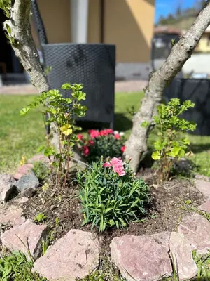 Giardino di CASA MIA MALVA