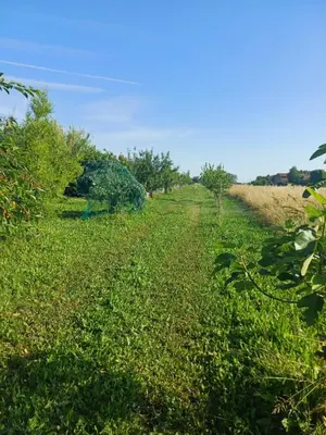 Paesaggio naturale nelle vicinanze del bed & breakfast