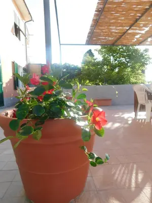 Giardino di Quinto Canto Moneglia