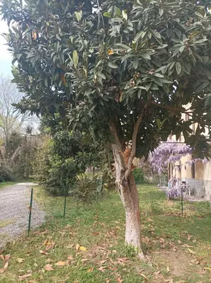 Giardino di Appartamento in Cascina Cortazza
