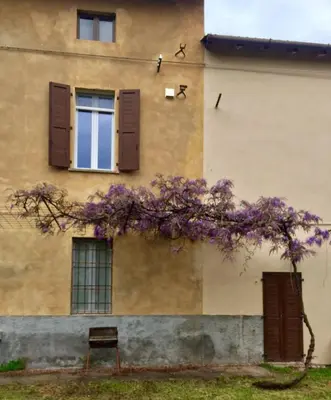 Giardino di Appartamento in Cascina Cortazza