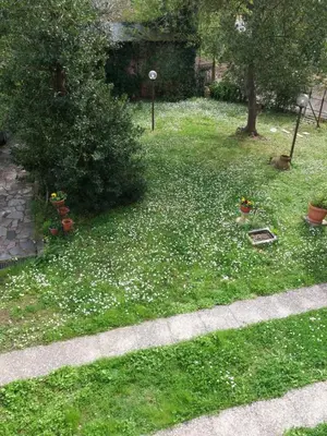 Giardino di La casa del Tiglio