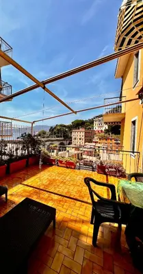 Balcone o terrazza di Pitosforo