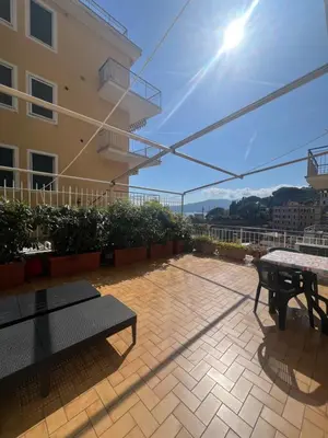 Balcone o terrazza di Pitosforo