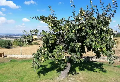 Paesaggio naturale nelle vicinanze del bed & breakfast