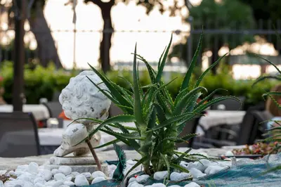 Giardino di Grande Albergo