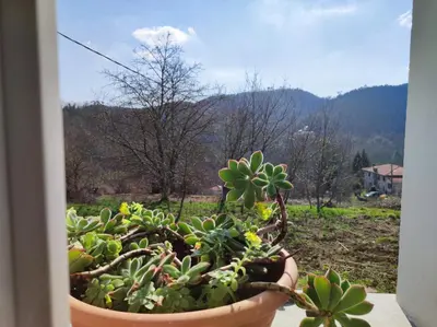 Vista generica sulle montagne o vista sulle montagne dall'interno della casa vacanze