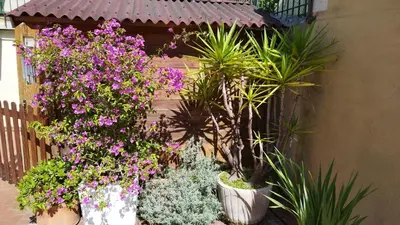 Giardino di I love Rapallo La casa AlMar