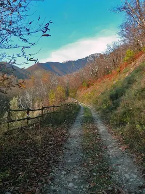 Paesaggio naturale nelle vicinanze dell'appartamento