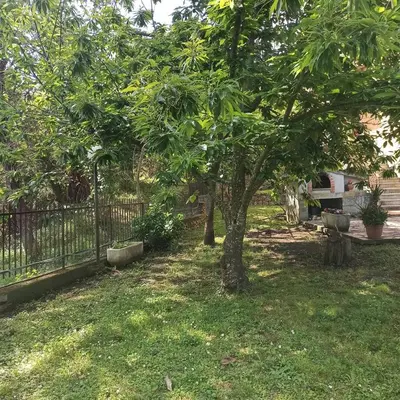 Planimetria di Bed & Breakfast Le cicale e la formica