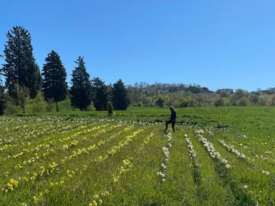 Ospiti di Il Casale Denari - Tenuta duca Denari